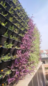 Vertical Garden