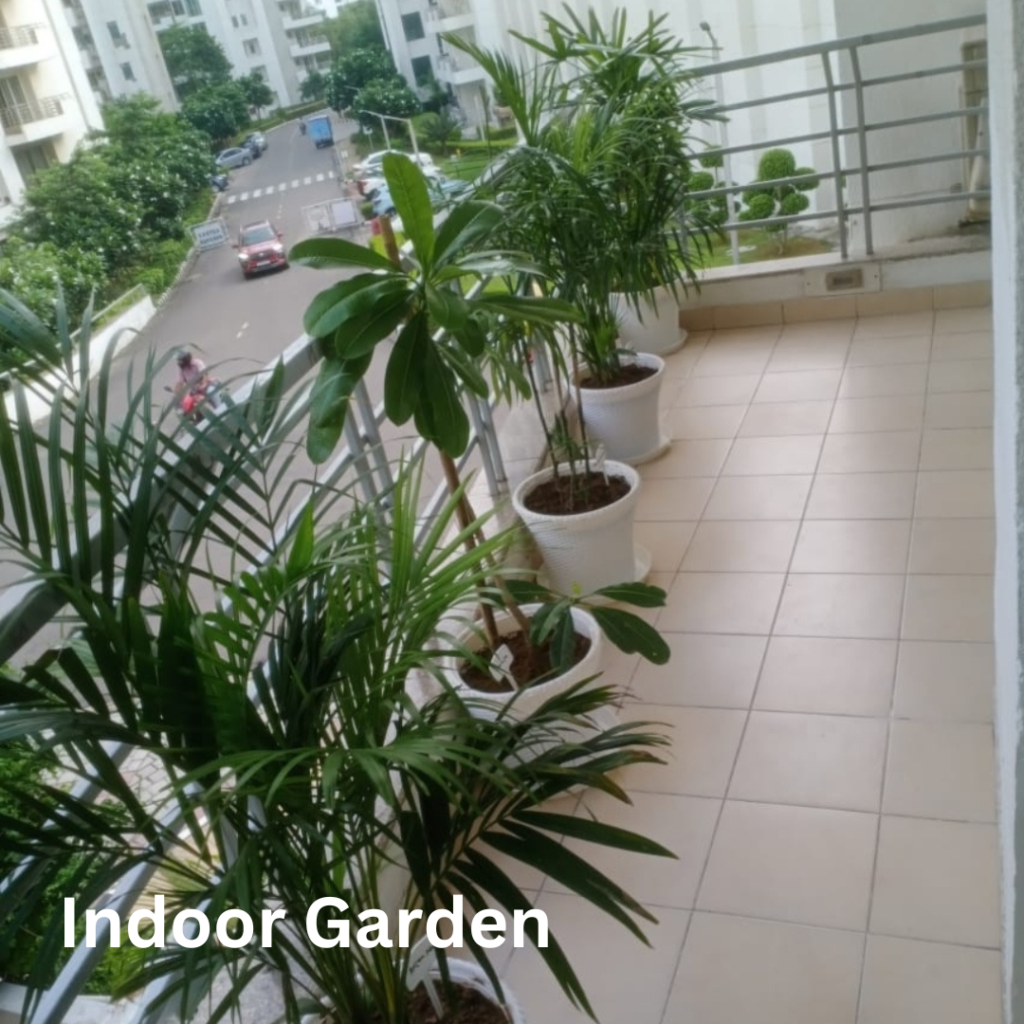 Indoor Garden