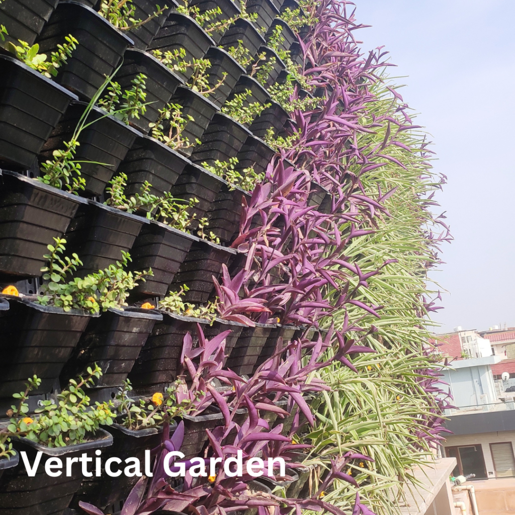 Vertical Garden